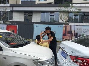 国产新汽车直播视频下载,尽享科技魅力，领略创新风采  第3张