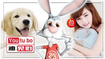 国产特特污兔视频,颠覆传统,挑战底线 第1张 国产特特污兔视频,颠覆传统,挑战底线 第1张