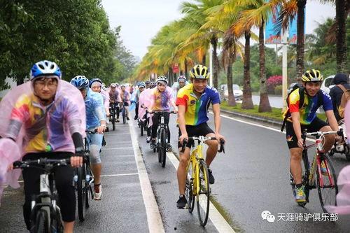 国产自行车成人骑行视频,畅游绿道，尽享速度与激情  第2张