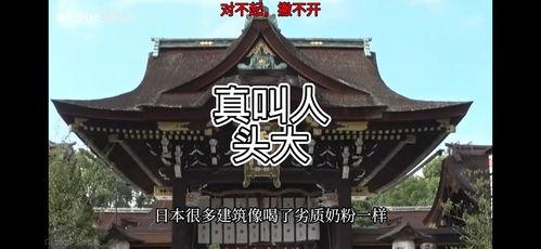 男女日b免费视频国产,男女日B免费视频，国产影视新篇章  第2张