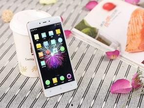 手机版妇女 国产视频,聚焦女性力量与成长  第1张