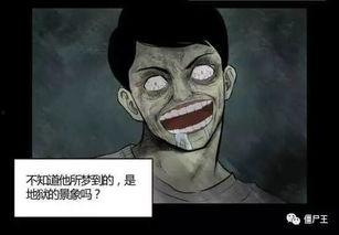 国产动漫僵尸复活视频在线观看,惊悚盛宴，在线观看揭秘  第3张