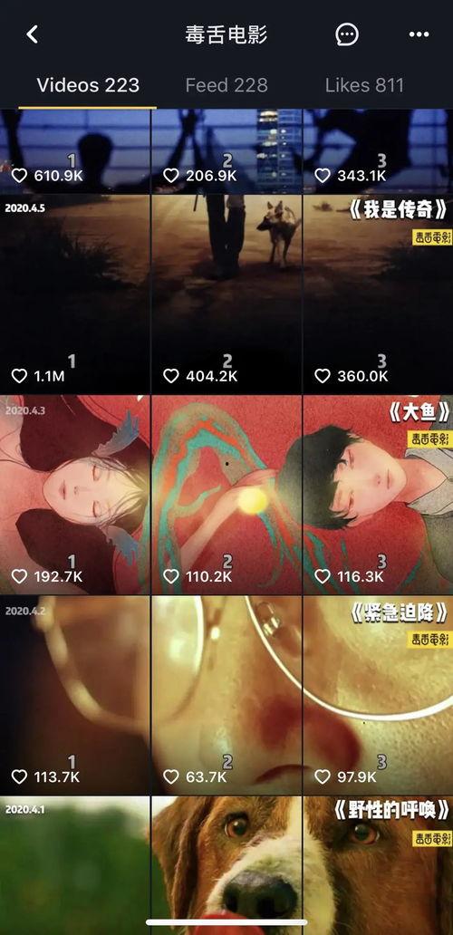 短视频国产片,光影流转，创意无限  第1张