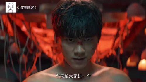 李易峰视频在线观看国产,李易峰倾情演绎,带你领略国产视频的魅力 第3张 李易峰视频在线观看国产,李易峰倾情演绎,带你领略国产视频的魅力 第3张