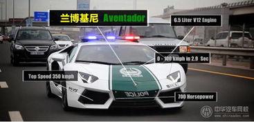 国产最帅警车涂装视频播放  第1张