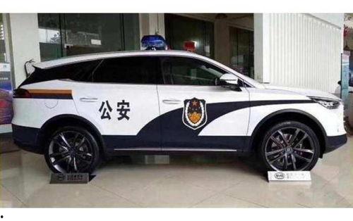 国产最帅警车涂装视频播放  第2张